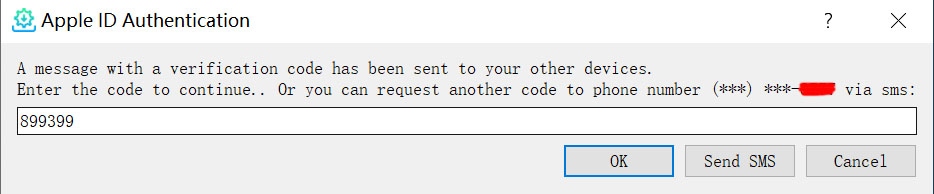Sideloadly 验证码输入示意